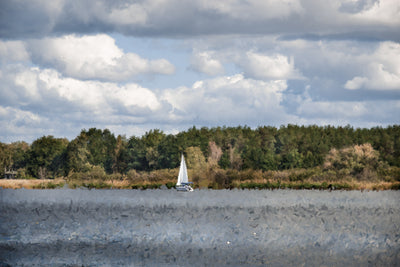 Beetzsee im Sommer II