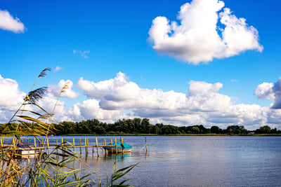 Beetzsee im Sommer