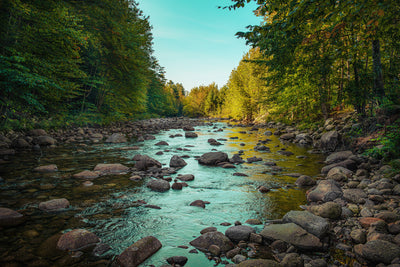 White Mountain Water